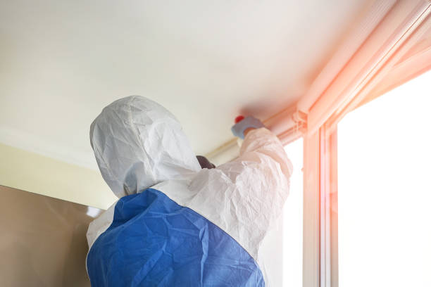 Best Environmental Consulting for Mold Prevention  in Neenah, WI