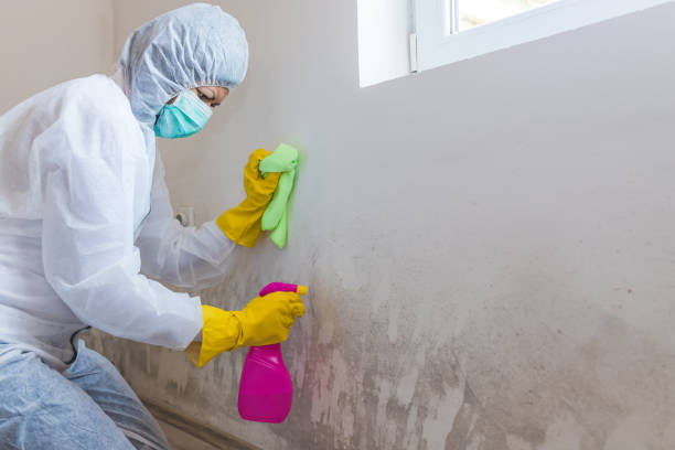 Best Real Estate Mold Inspection  in Neenah, WI