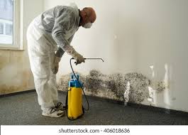 Best Asbestos and Lead Testing During Mold Inspection  in Neenah, WI